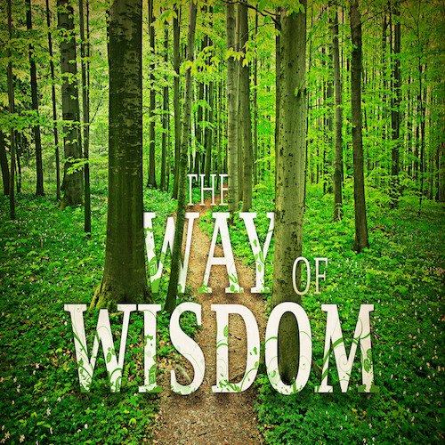 The Way of Wisdom